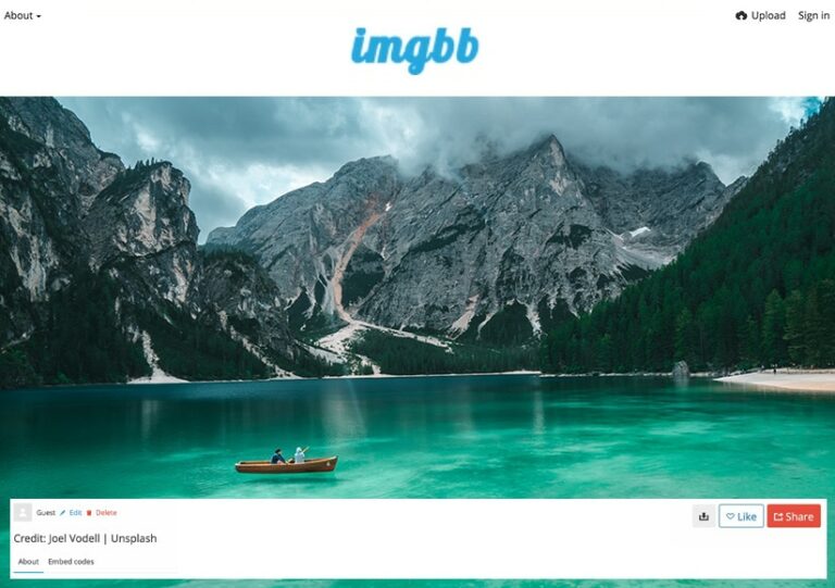 ImgBB Alternatives: Freely Host Your Pictures Online in 2023